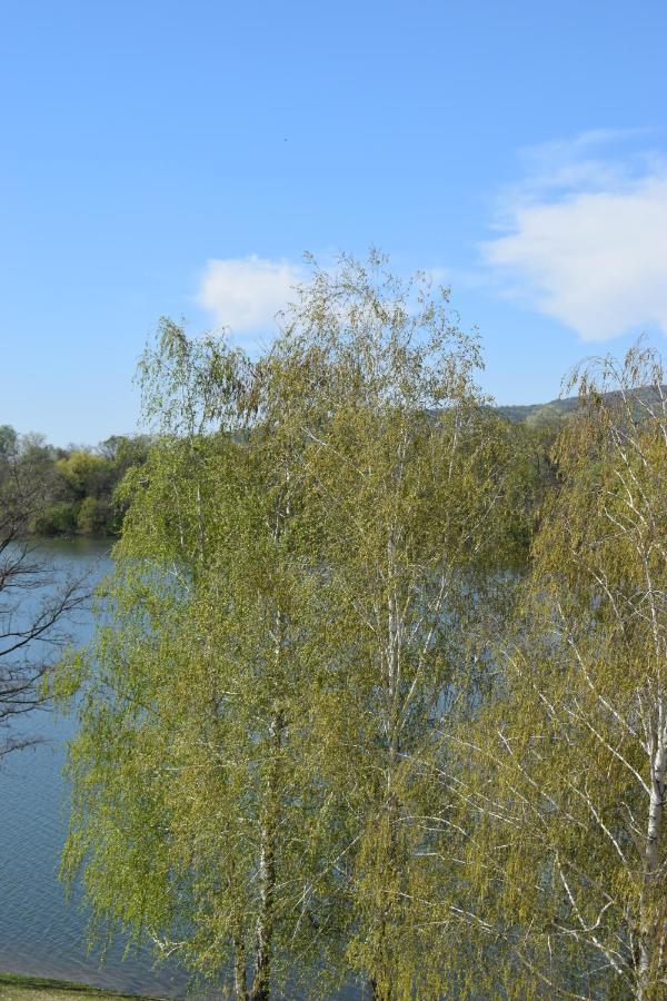 Apartmani K&V Veliko Gradište Exteriör bild
